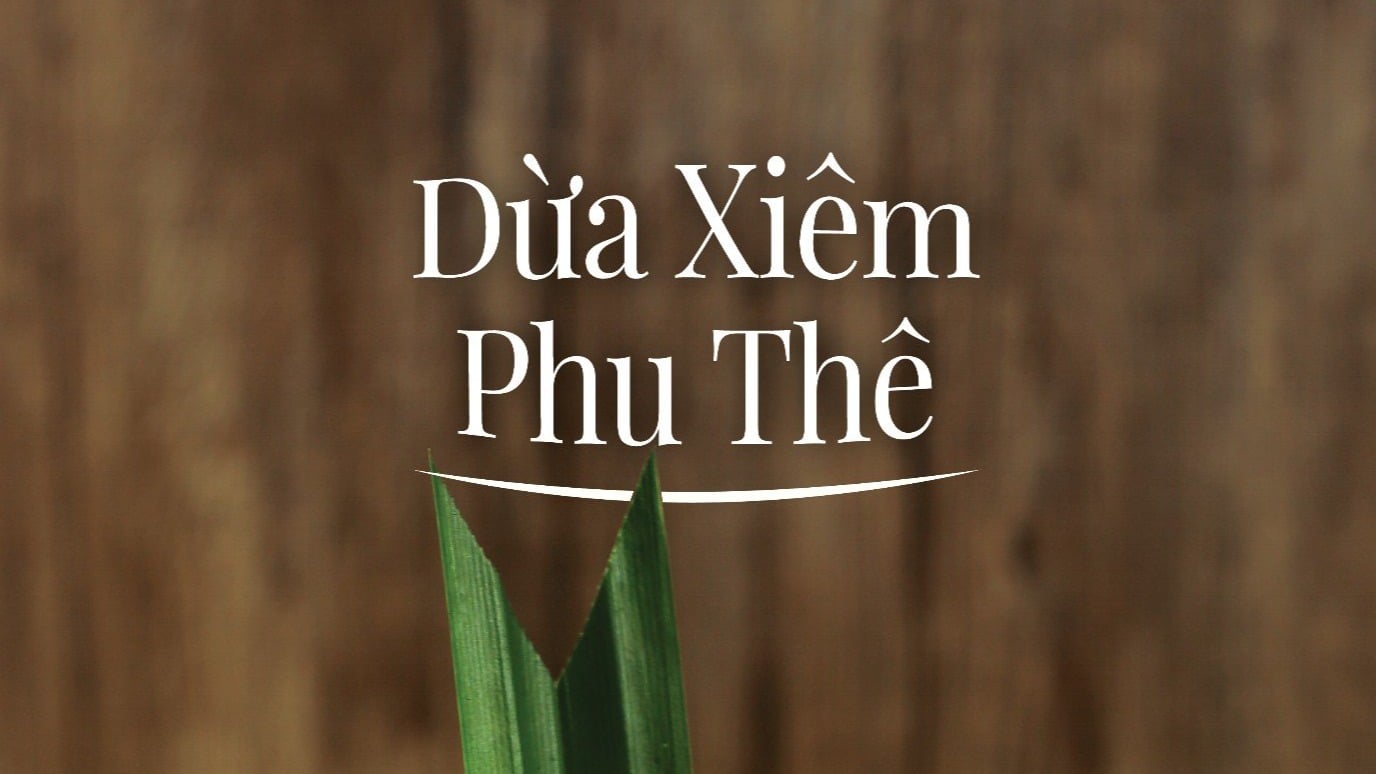 Dừa Xiêm Phu Thê – Từ Kinh Bắc tới cảm hứng Bến Tre