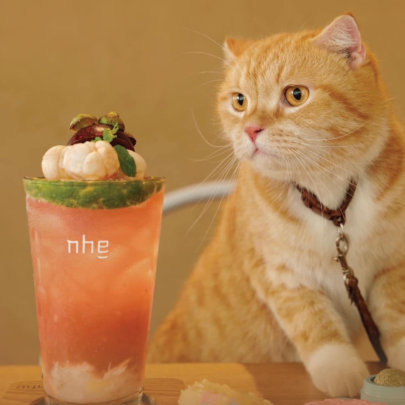 Sen Gọi Đậm Măng – Boss Hưởng Đậm Quà