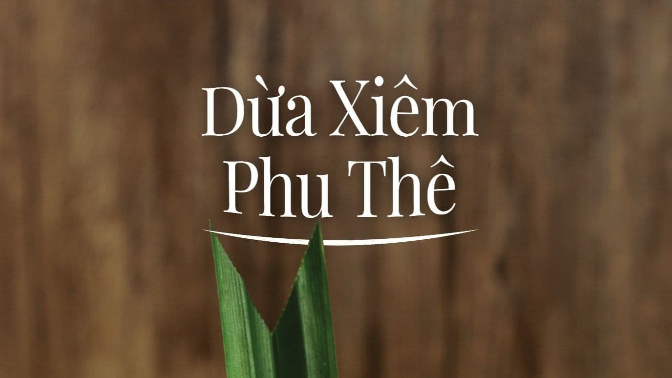 Dừa Xiêm Phu Thê – Từ Kinh Bắc tới cảm hứng Bến Tre