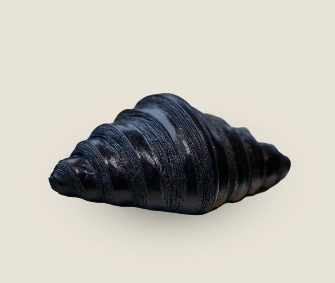 Bánh Sừng Bò Than Tre